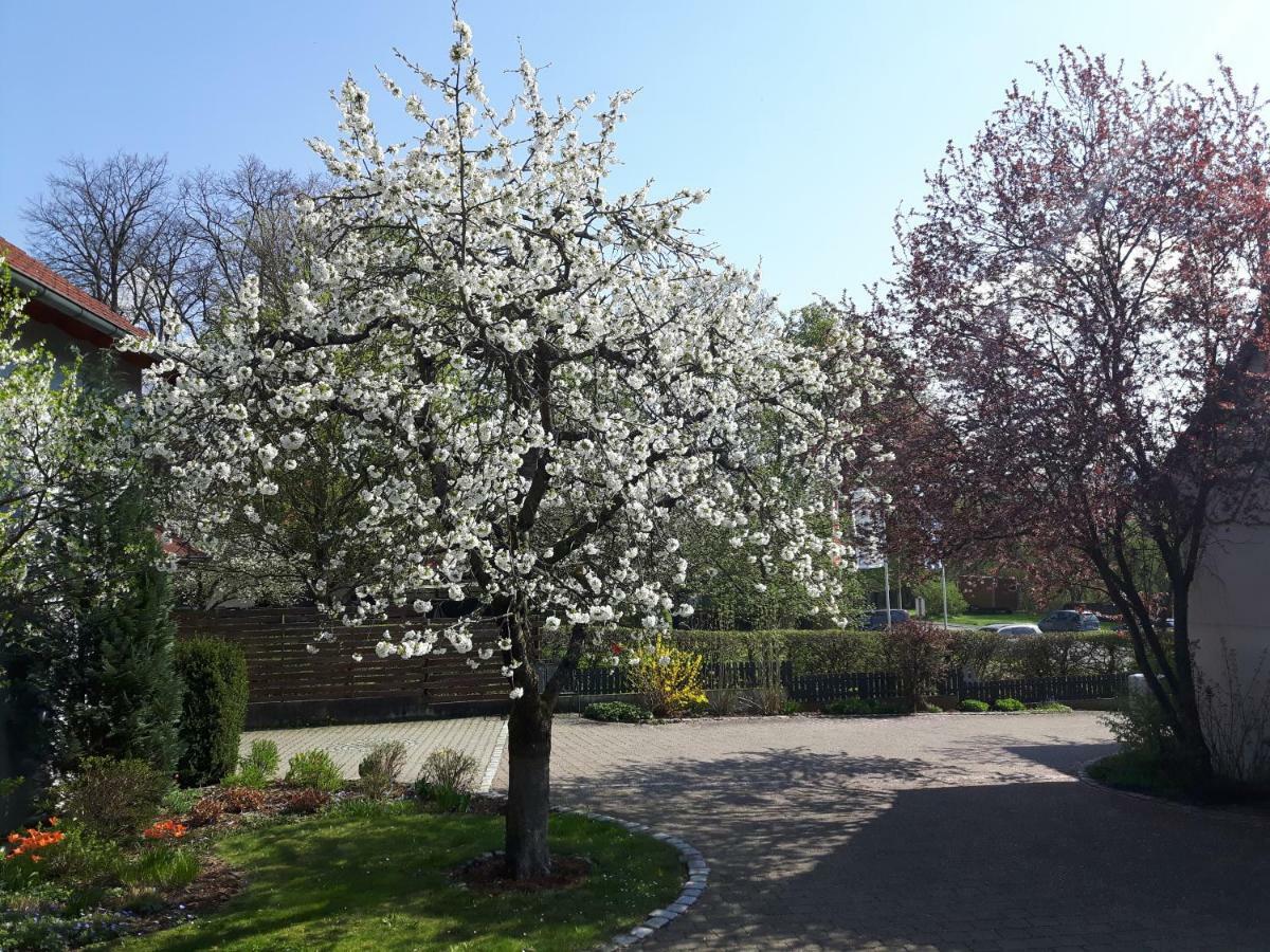 Der Kirschbaumhof Lägenhet Strullendorf Exteriör bild